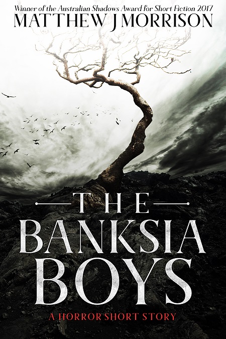 TheBanksiaBoys-cover-oliviaprodesign-675